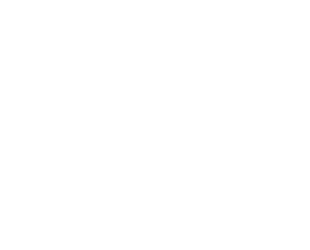 SingZing